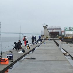 令和元年初日はポーアイで